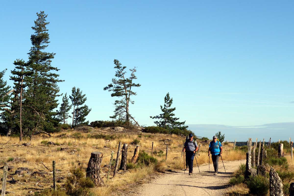 Chemins de Compostelle : Le Puy - Nasbinals - France