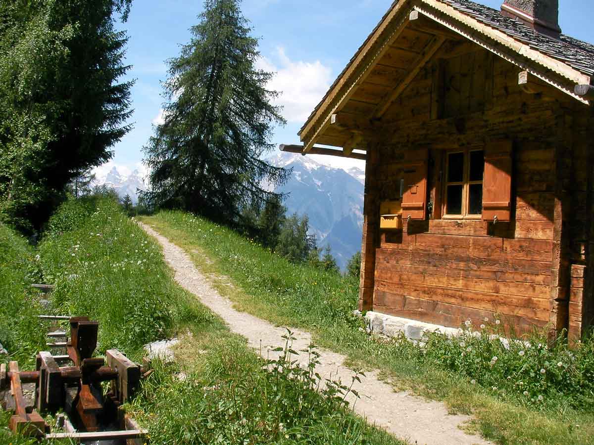 Les Bisses du Valais en Liberté - Suisse