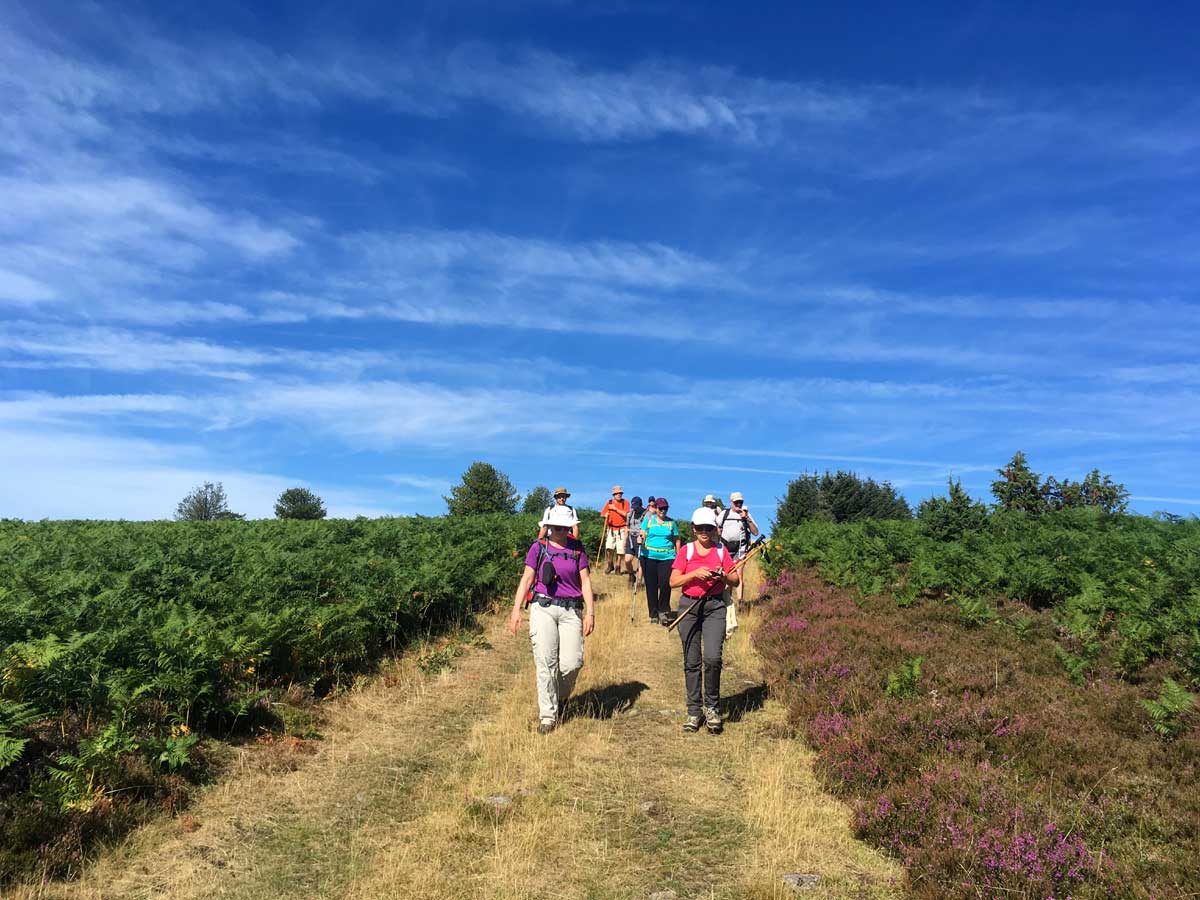 Retrouvance® : Millevaches - France