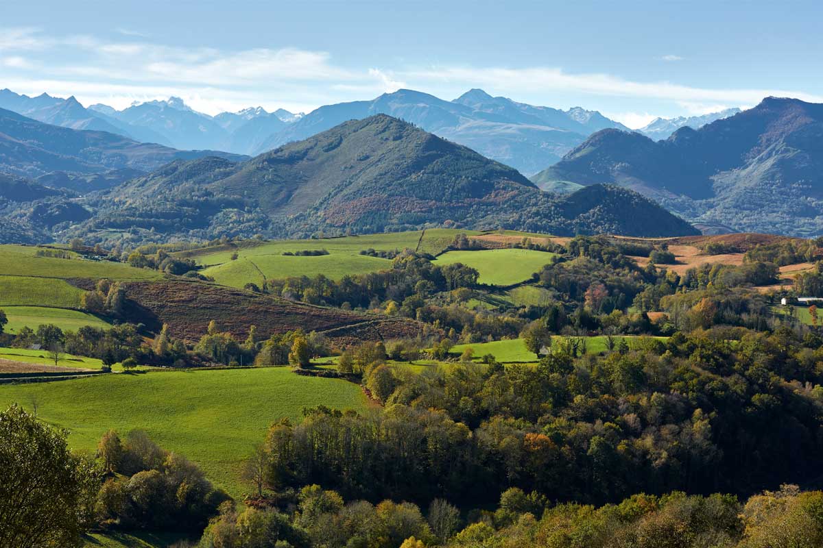 Chemins de Compostelle : Toulouse - Maubourguet - France