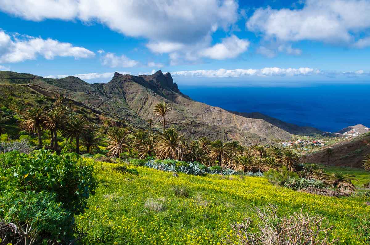 Tour de la Gomera en Liberté