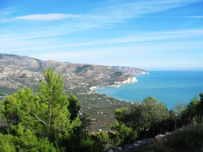 Les Pouilles en liberté - Italie