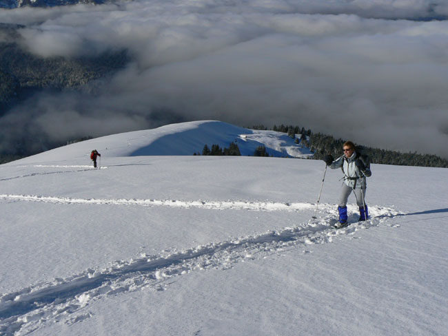 WE Réveillon 2024 Chartreuse au Habert