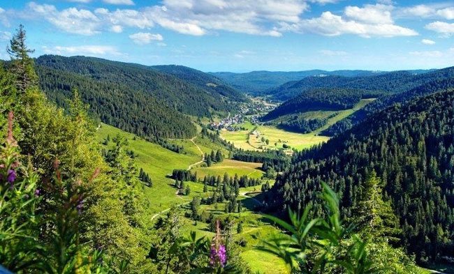 Traversée de la Forêt Noire en liberté - Allemagne