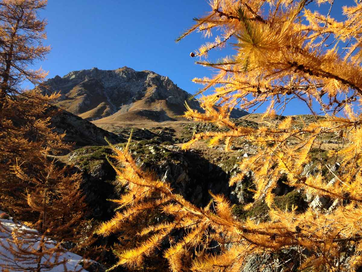 Couleurs d'automne en Queyras - France