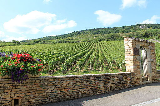 Chemins de Compostelle : Beaune - Cluny - France
