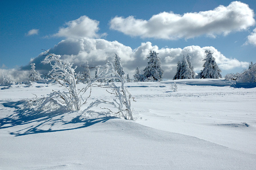 Le Lac Blanc en Liberté