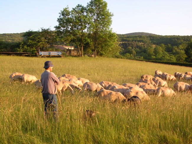Multiactivités dans le Larzac - France