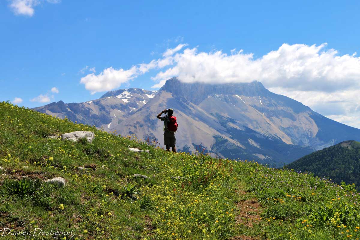 Retrouvance® : Buëch Dévoluy - France