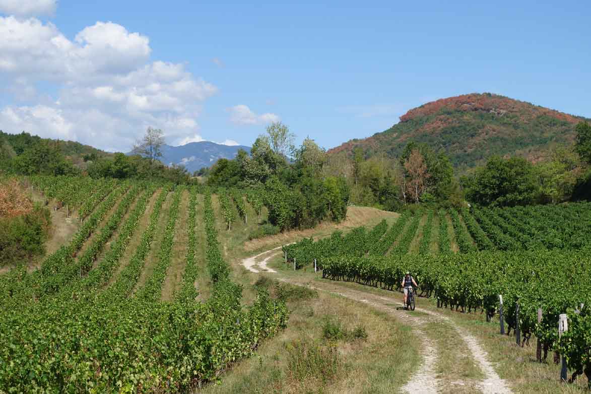 Compostelle à vélo : Genève - Le Puy - France
