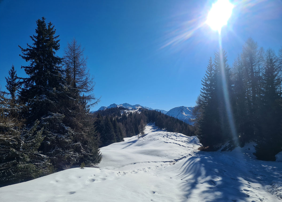 Les balcons du Mont-Blanc