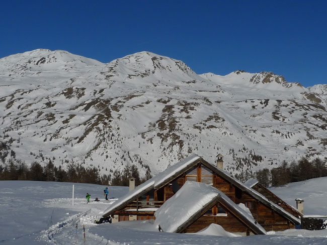 Raquette sauvage en Clarée
