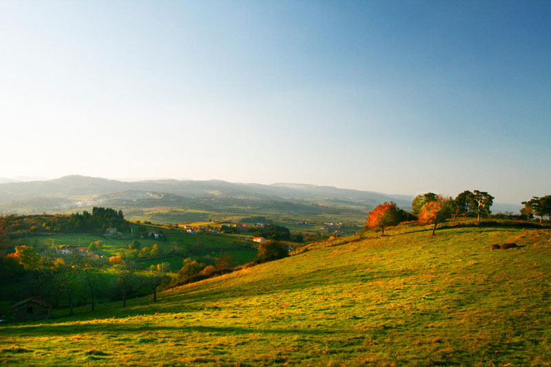 Chemins de Compostelle : Cluny - Le Puy en Velay - France