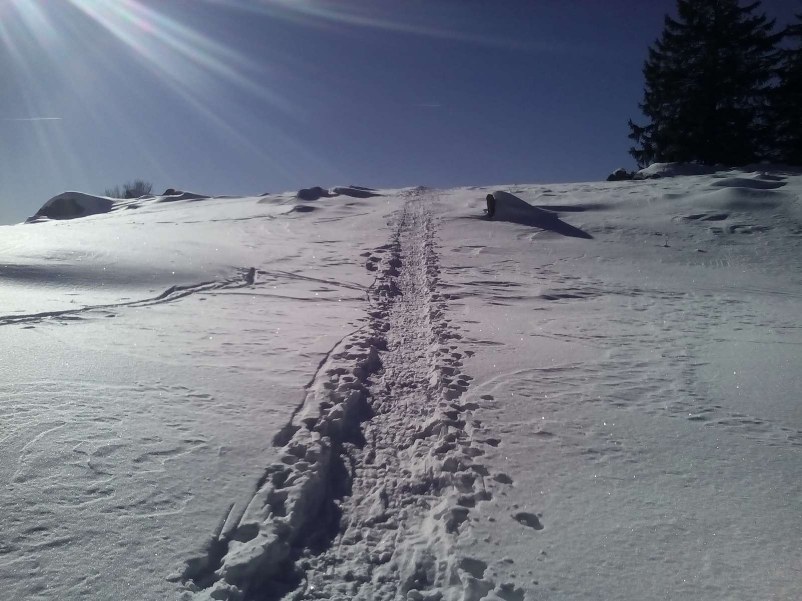 LE MASSIF DES VOSGES EN HIVER 2022