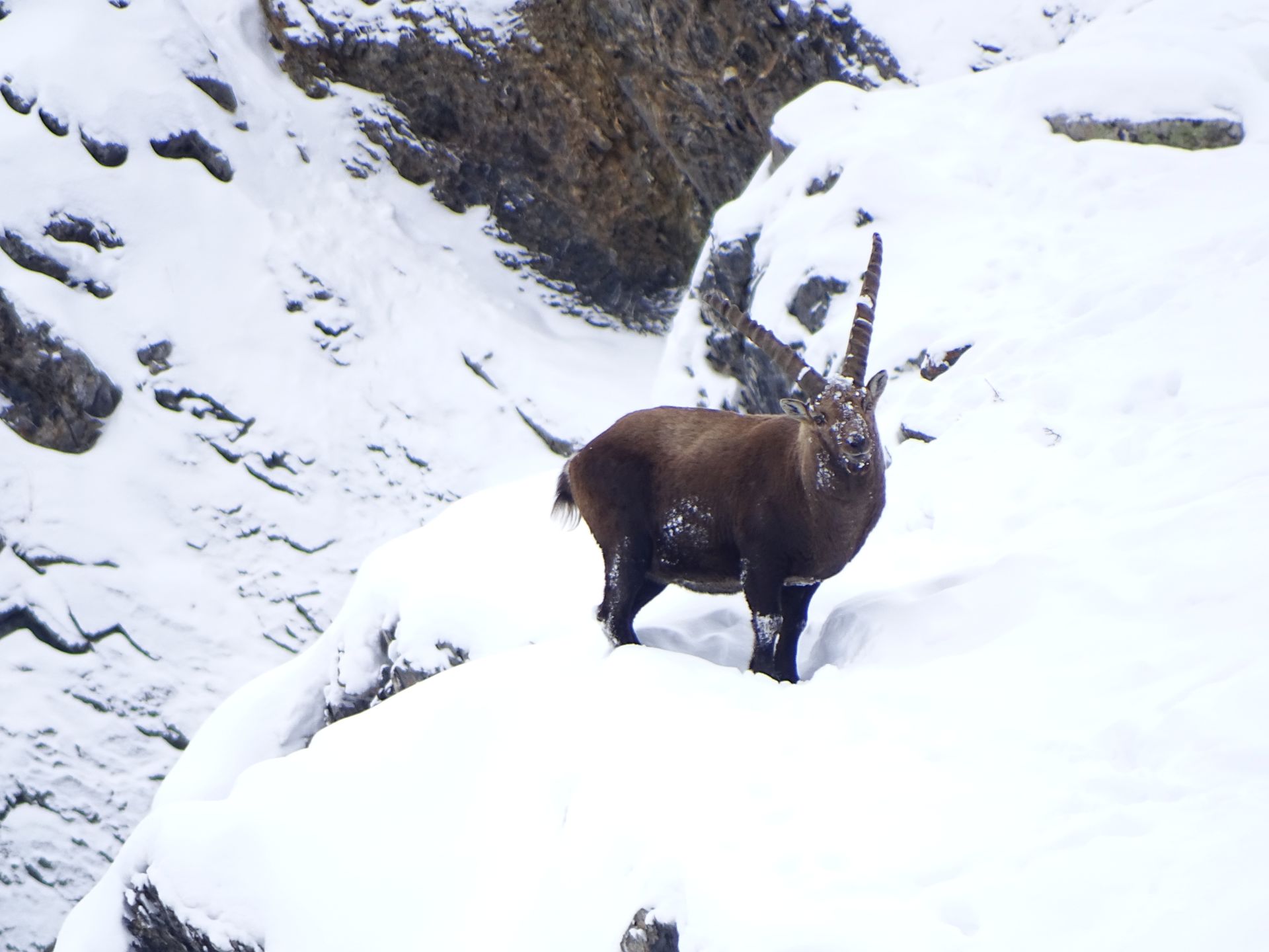 Raquettes et Bains au pied des Ecrins -6635bf0dbfc96: 

type: diap

0: /