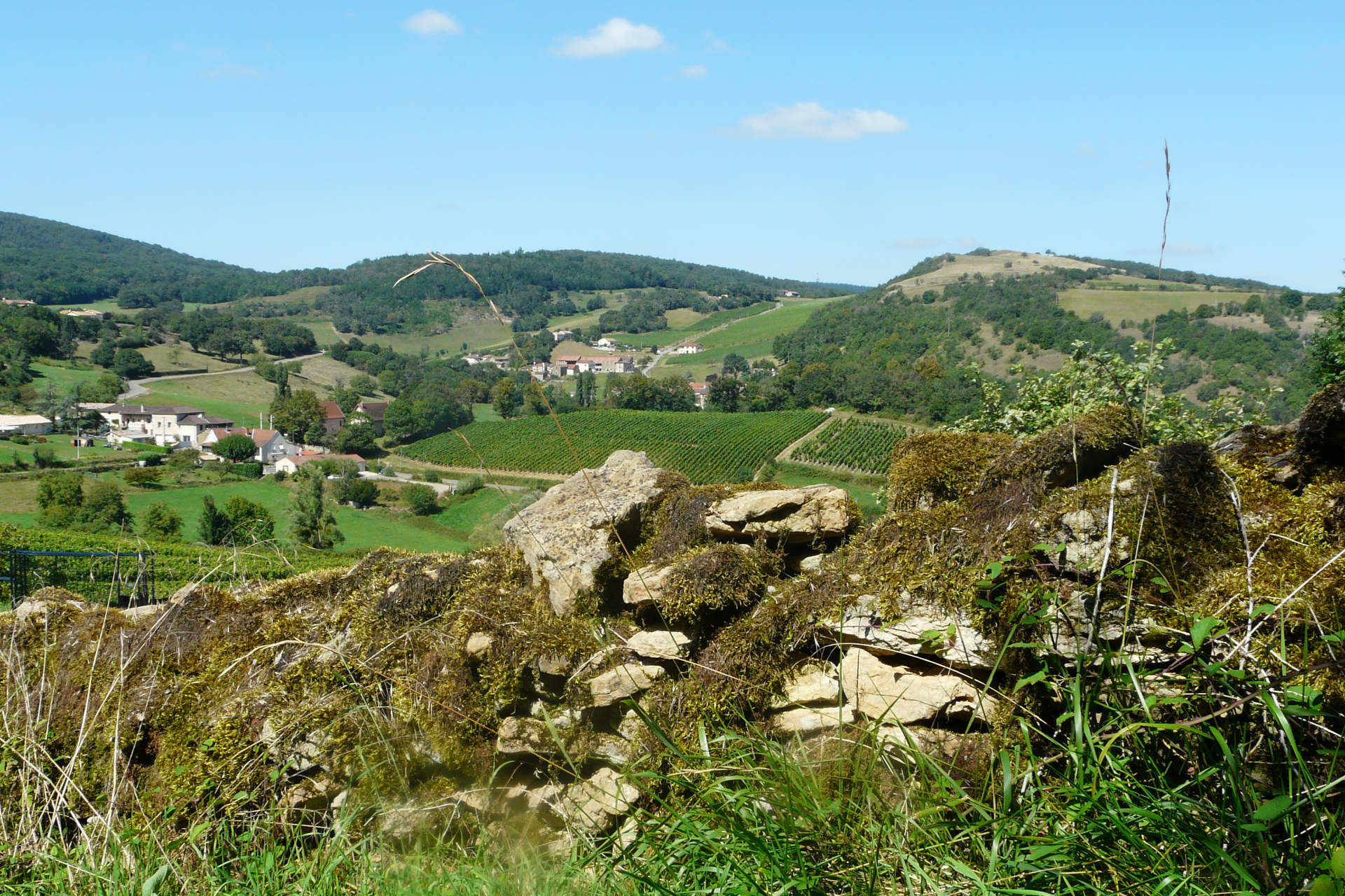 Patrimoine de Bourgogne à pied -650e4fcc1116c: /