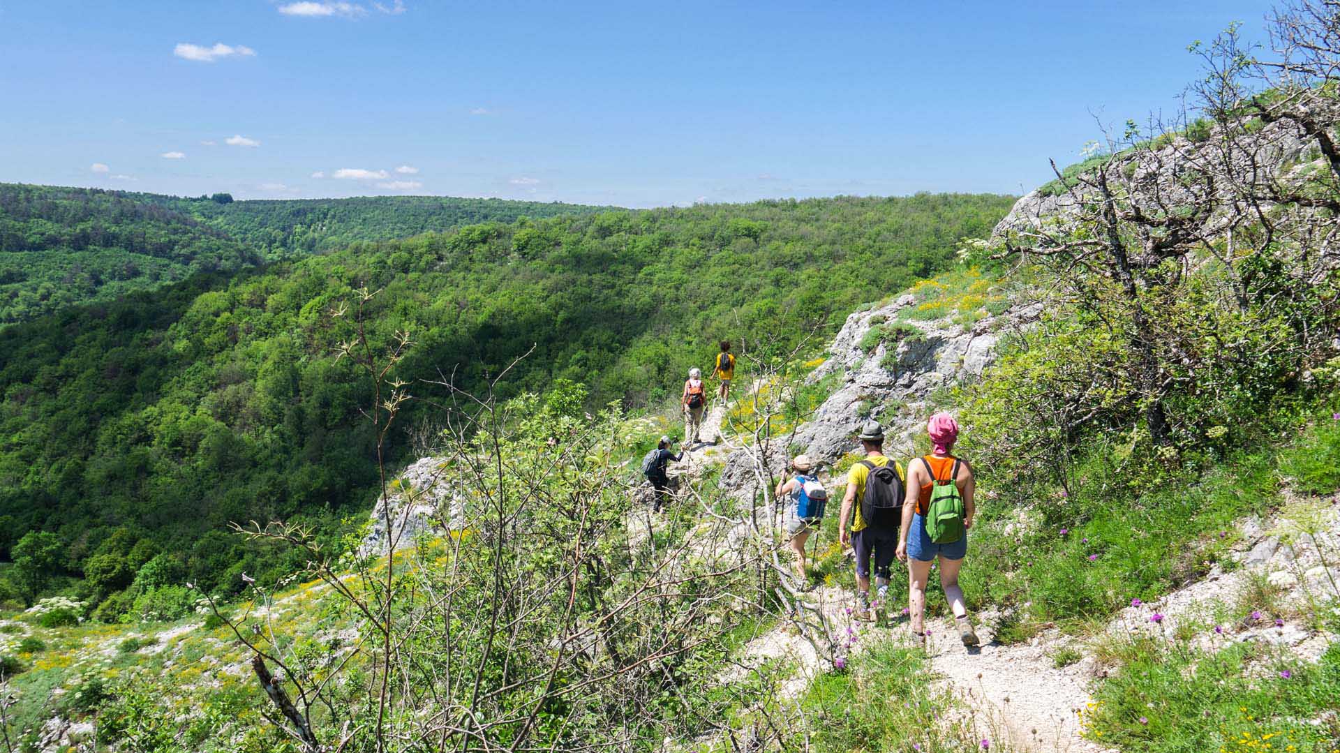 Randonnée en Val Suzon : au coeur de la Bourgogne secrète : /