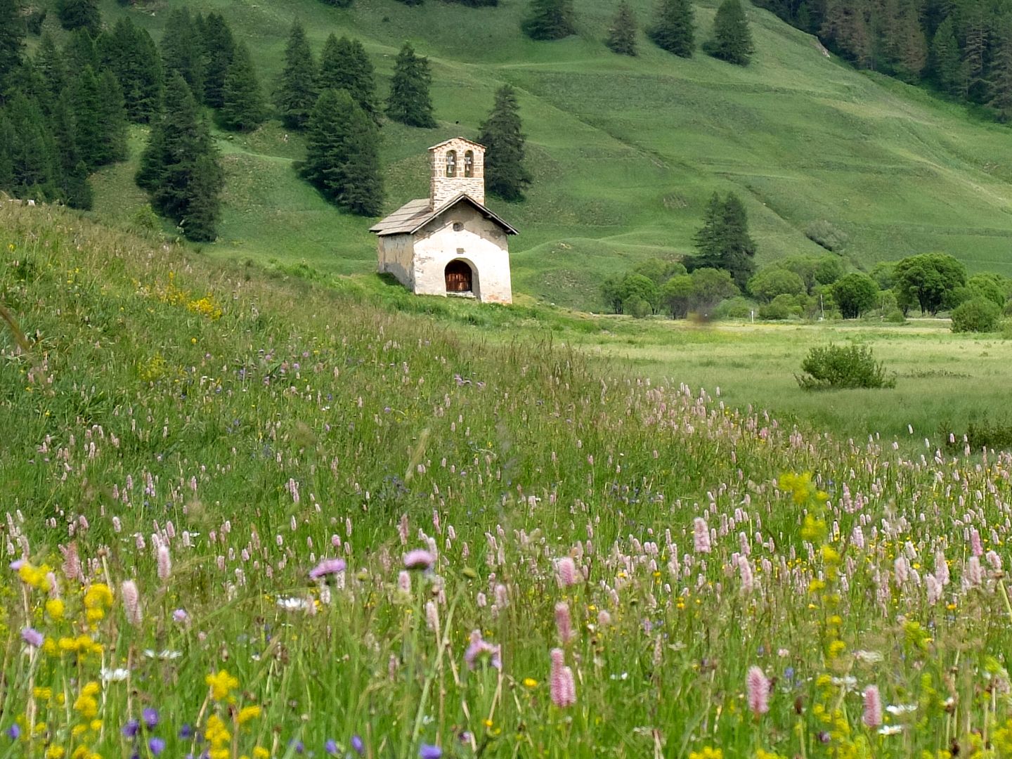 Cervières, vallée sauvage du Briançonnais à pied -65660885b56ad: /