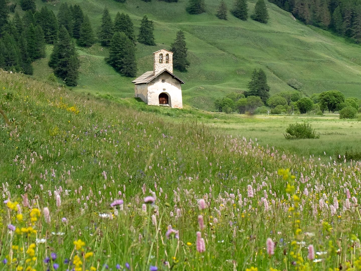 Cervières, vallée sauvage du Briançonnais à pied -6625256e34212: 

type: diap

0: /