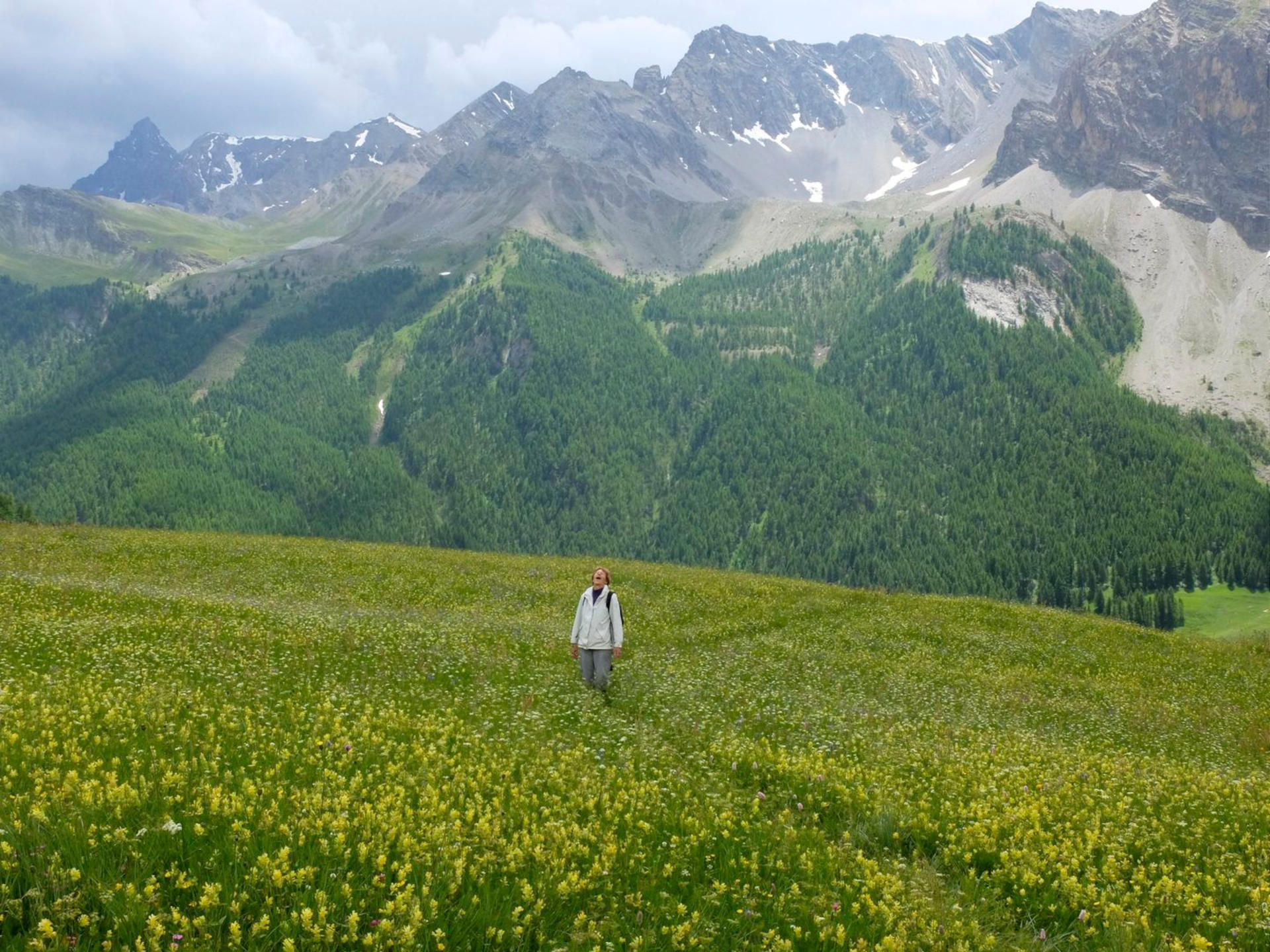 Cervières, vallée sauvage du Briançonnais à pied -65660885b56b0: /