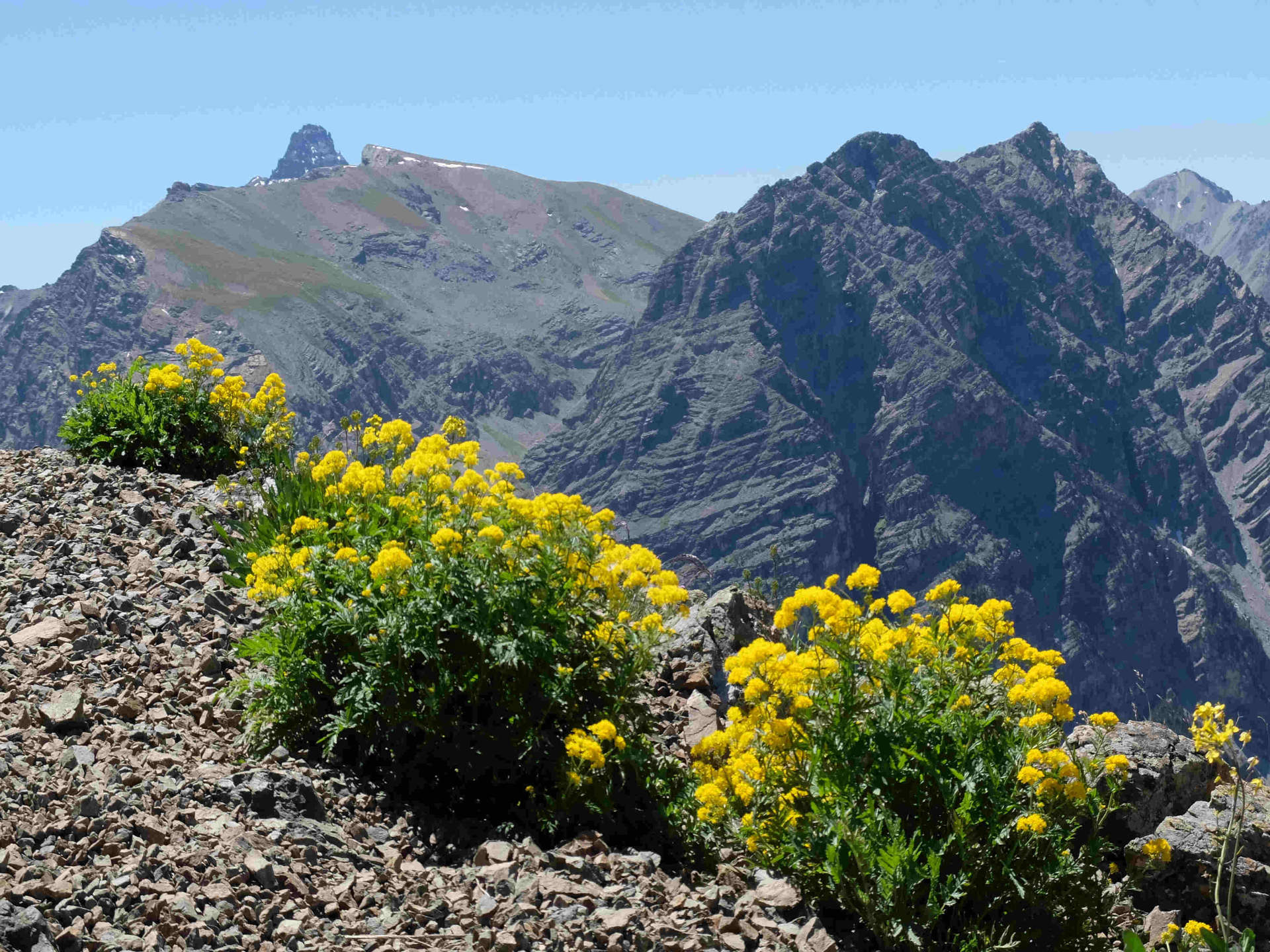 Grand tour du Pic de Rochebrune à pied -6902648e707e6: /