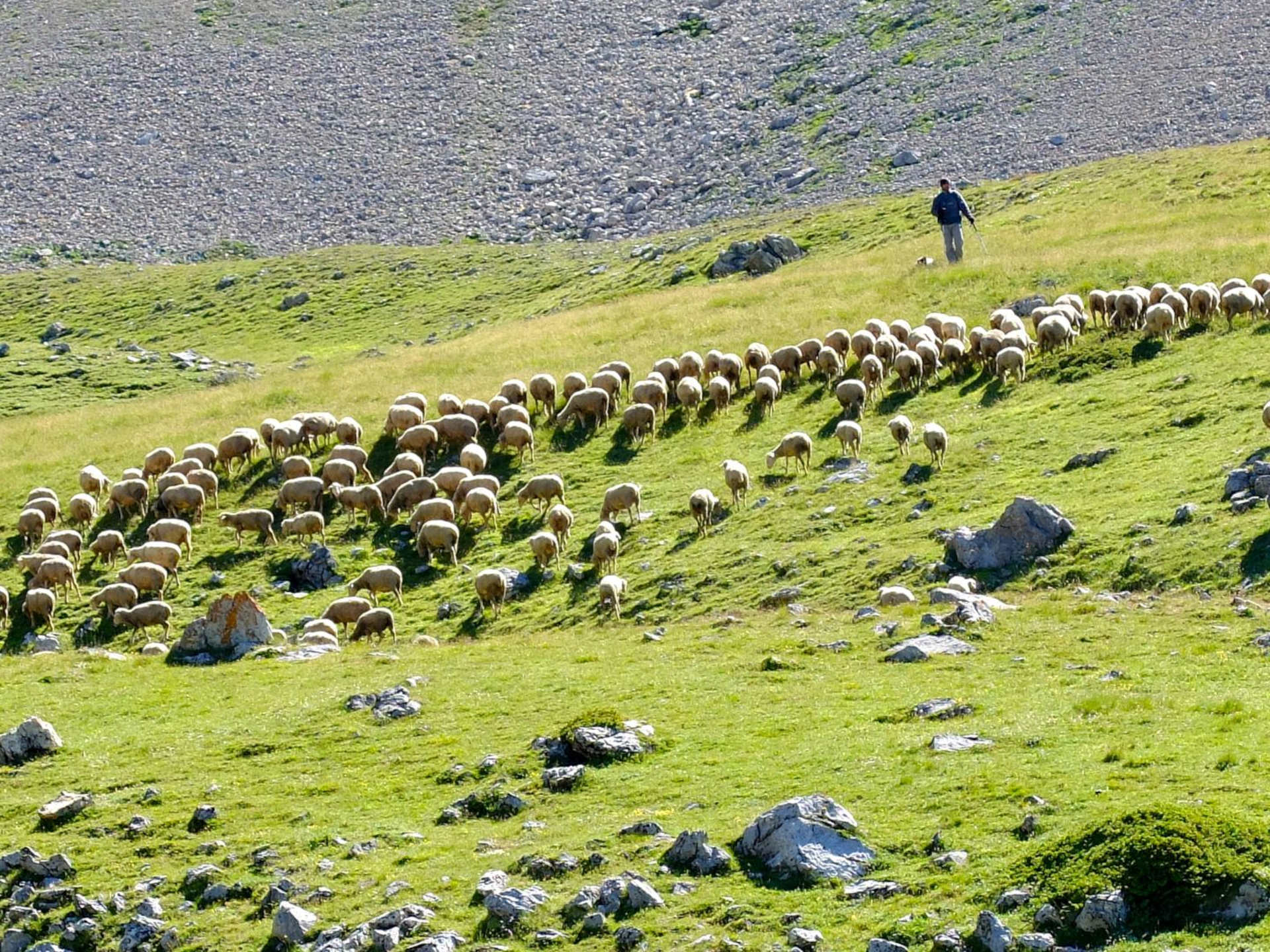 Grand tour du Pic de Rochebrune à pied -6902648e707e7: /