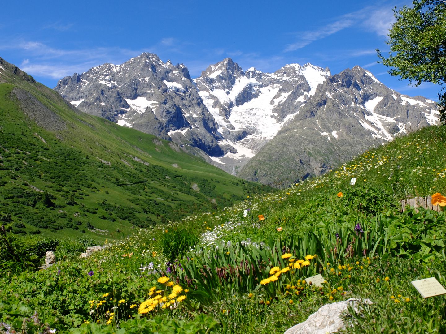 Les lacs de la Haute Guisane -6511accaeccee: /