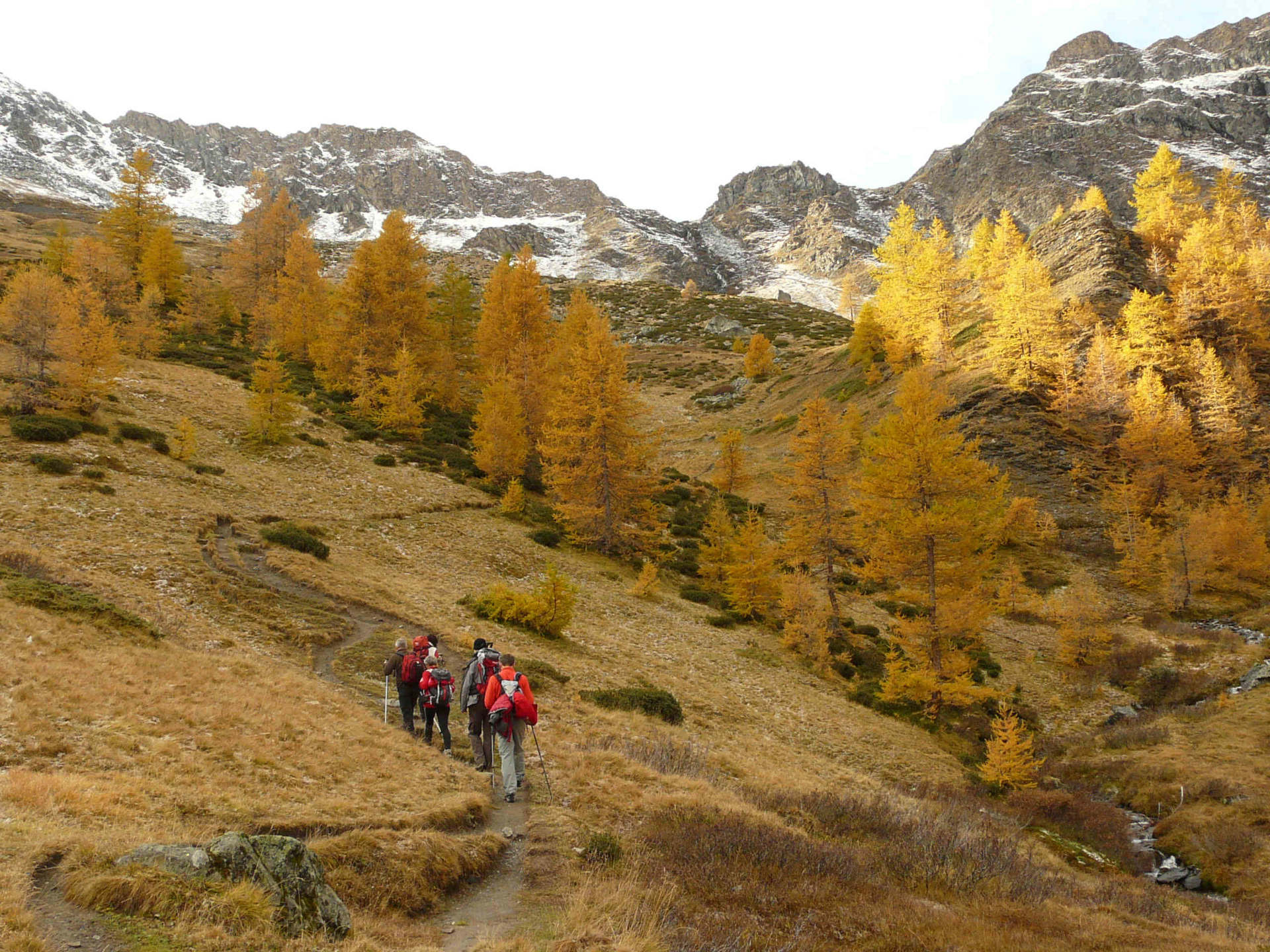 A pied, Cervières aux couleurs d’automne -6481993c25f20: /