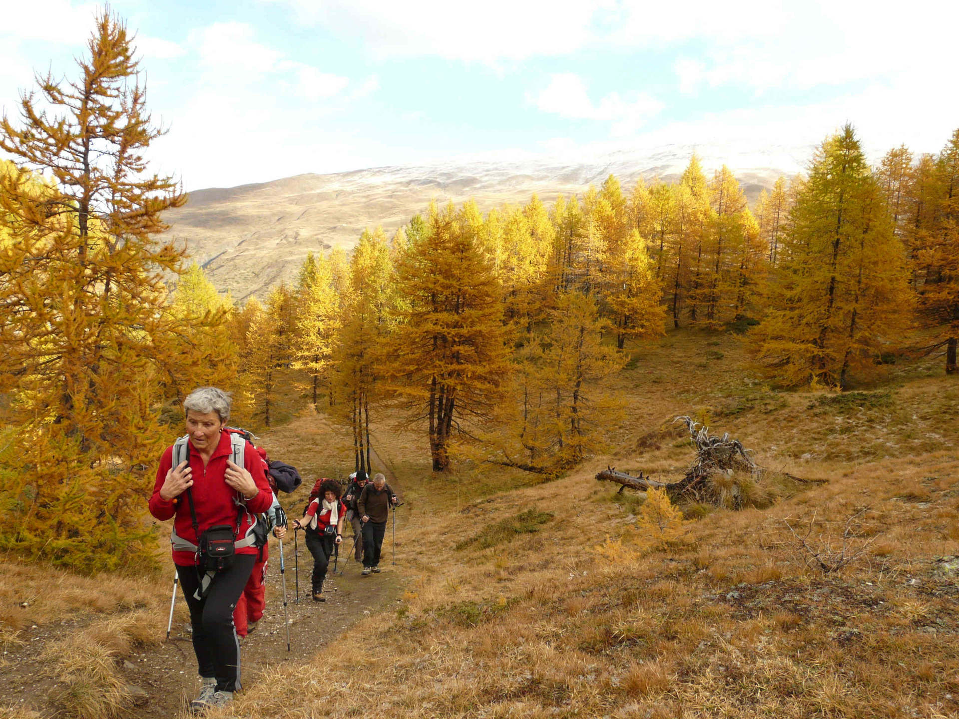 A pied, Cervières aux couleurs d’automne -6481993c25f23: /