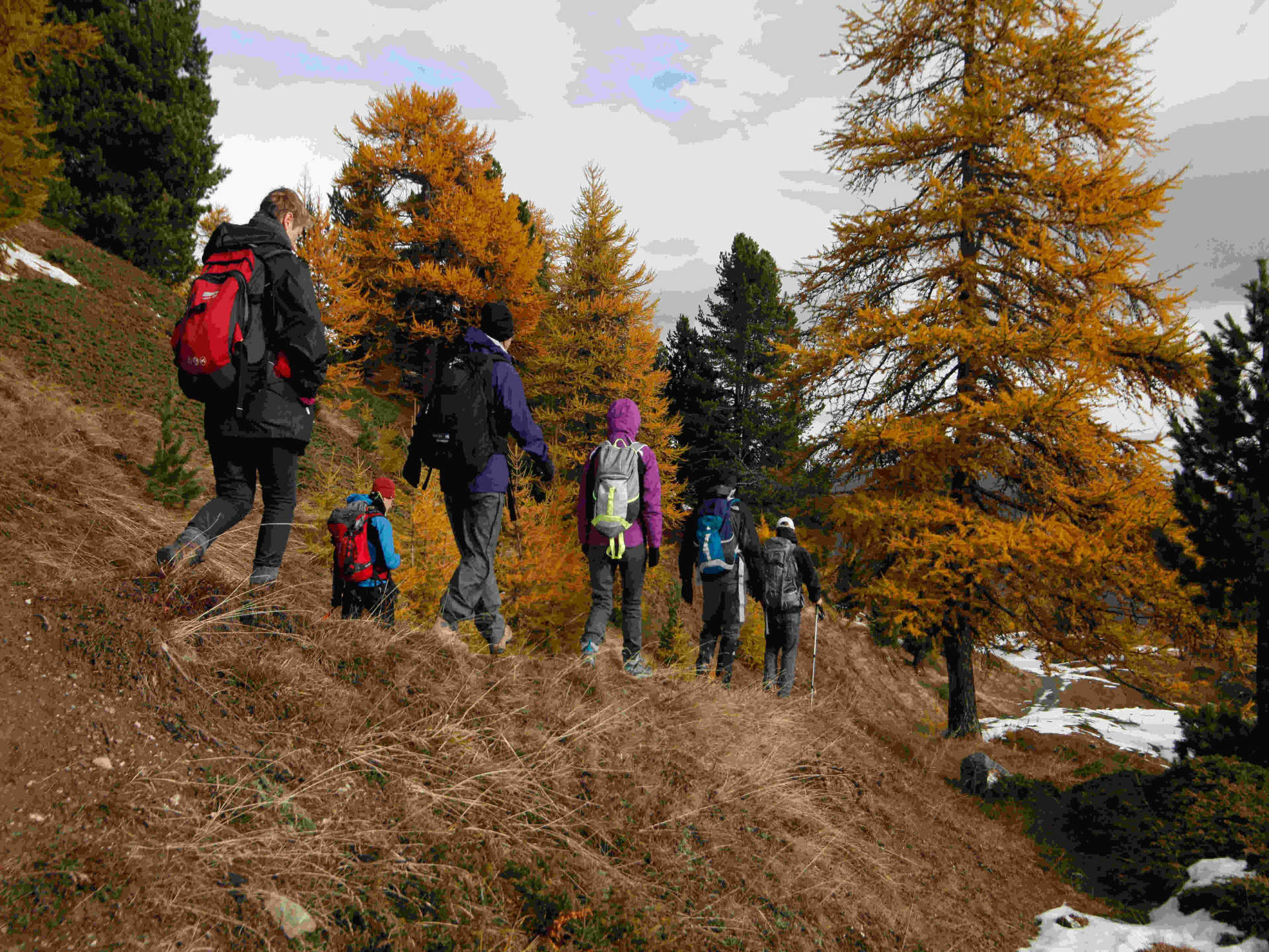 A pied, Cervières aux couleurs d’automne : /