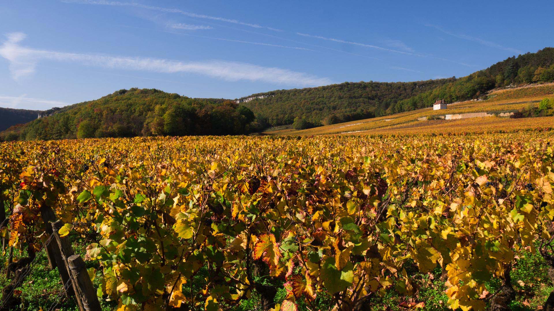 Randonnée en Côte d’Or : réconciliation avec l’automne ! -6500608576734: /