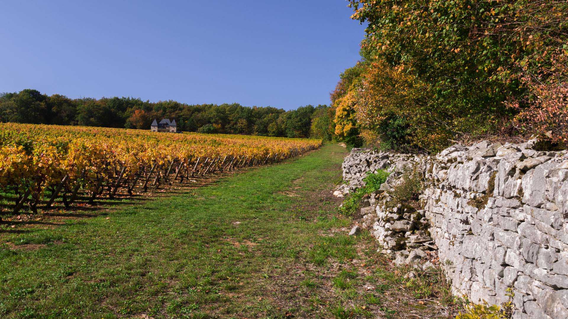 Randonnée en Côte d’Or : réconciliation avec l’automne ! -6500608576737: /