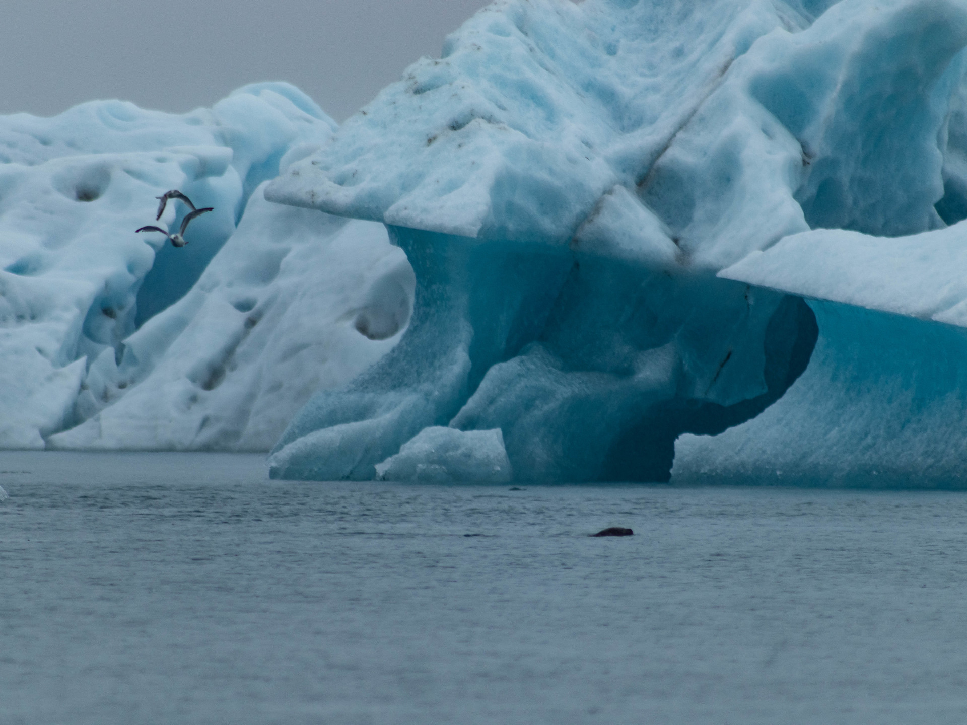 Voyage au coeur de l’Islande -66352536bf02e: 

type: diap

0: /