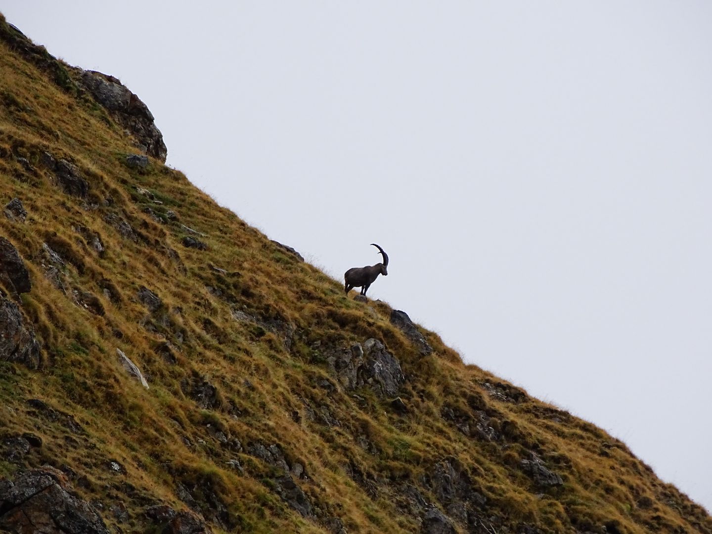 Vallée de la Clarée, écrin de nature printemps / été / automne  -6647488ebfaae: /