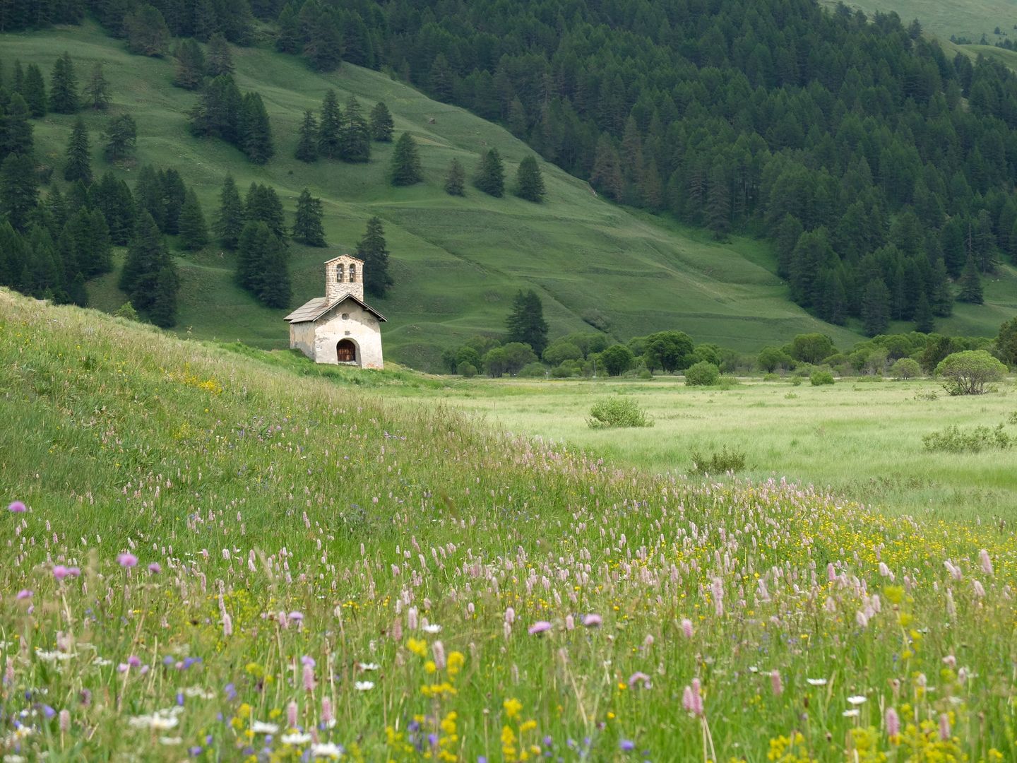 Cervières-Izoard, petit paradis de la randonnée -65616e050500c: /