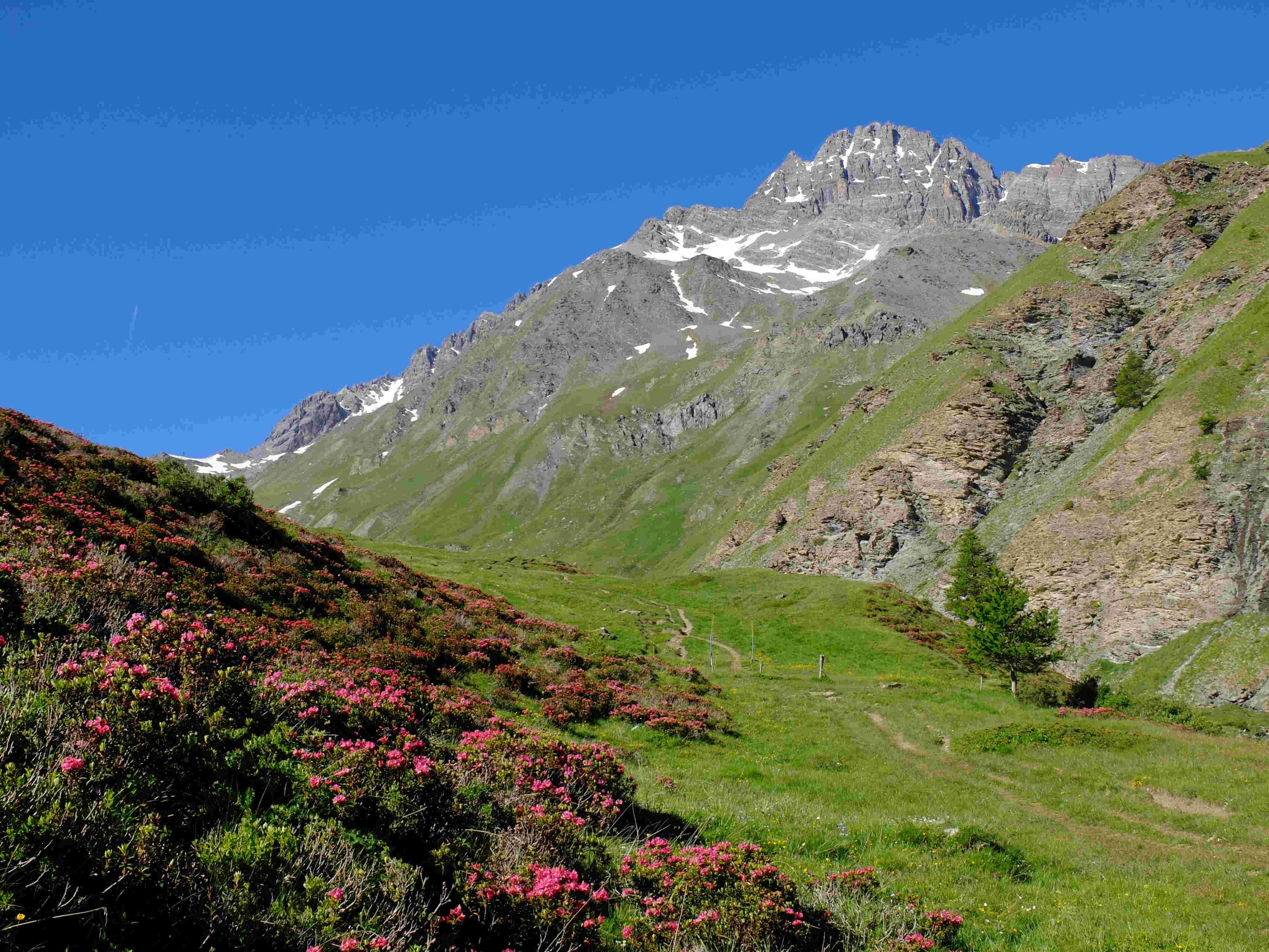 Cervières-Izoard, petit paradis de la randonnée -65616e050500e: /