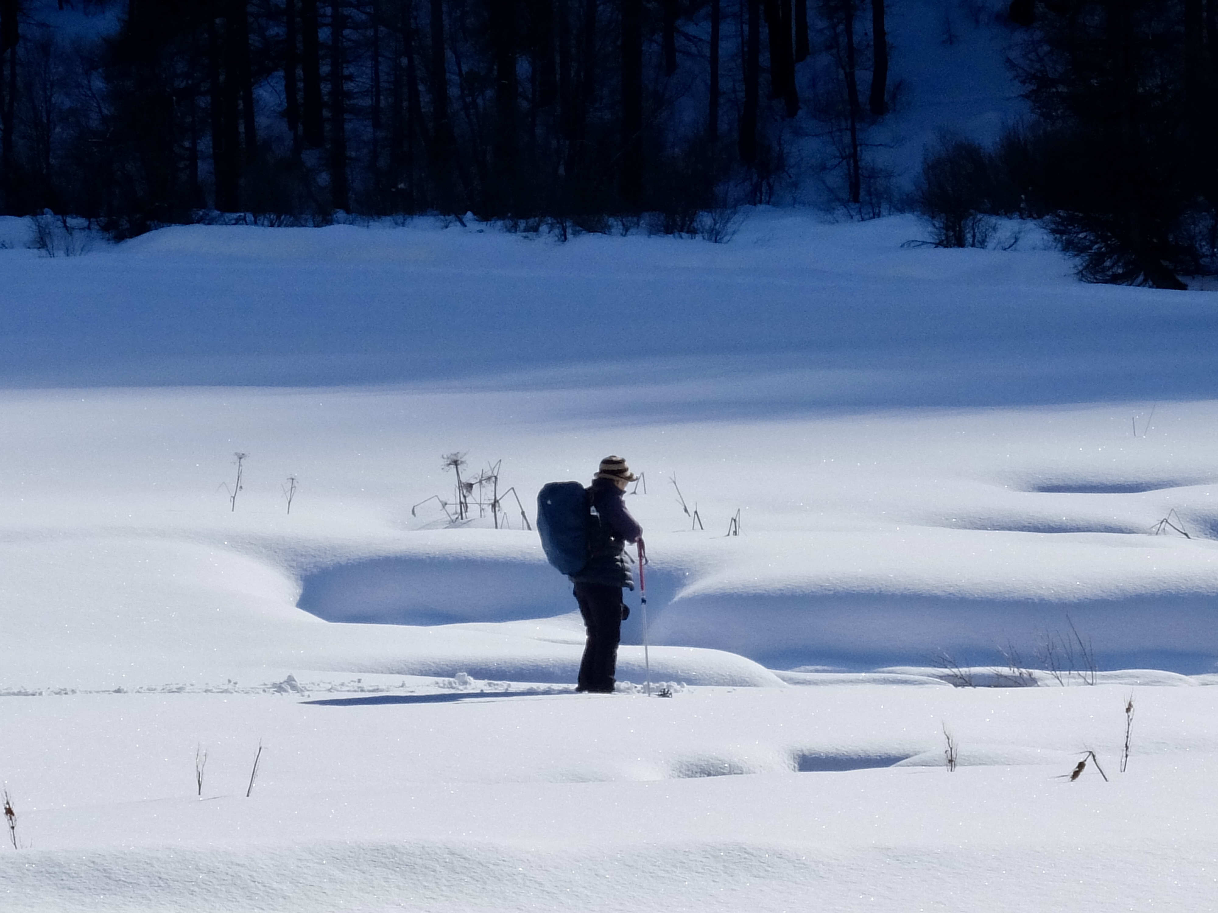 Névache, la vallée blanche à raquette -693c95a7c83d4: 

type: diap

0: /