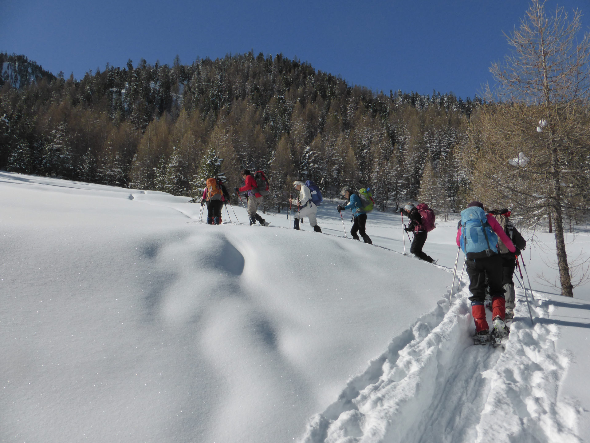 Week-end de fin d’année à raquette dans la Vallée d’Izoard -65738635dab8a: 

type: diap

0: /