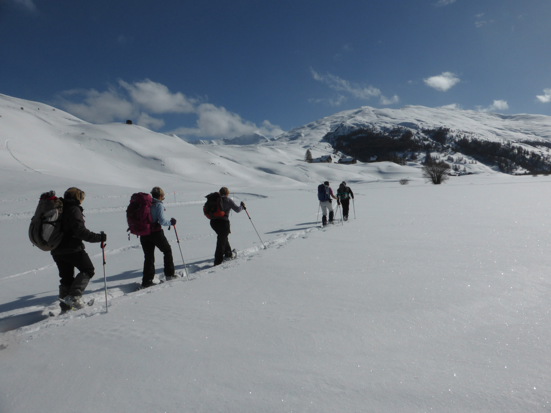Week-end de fin d’année à raquette dans la Vallée d’Izoard -65738635dab8c: 

type: diap

0: /