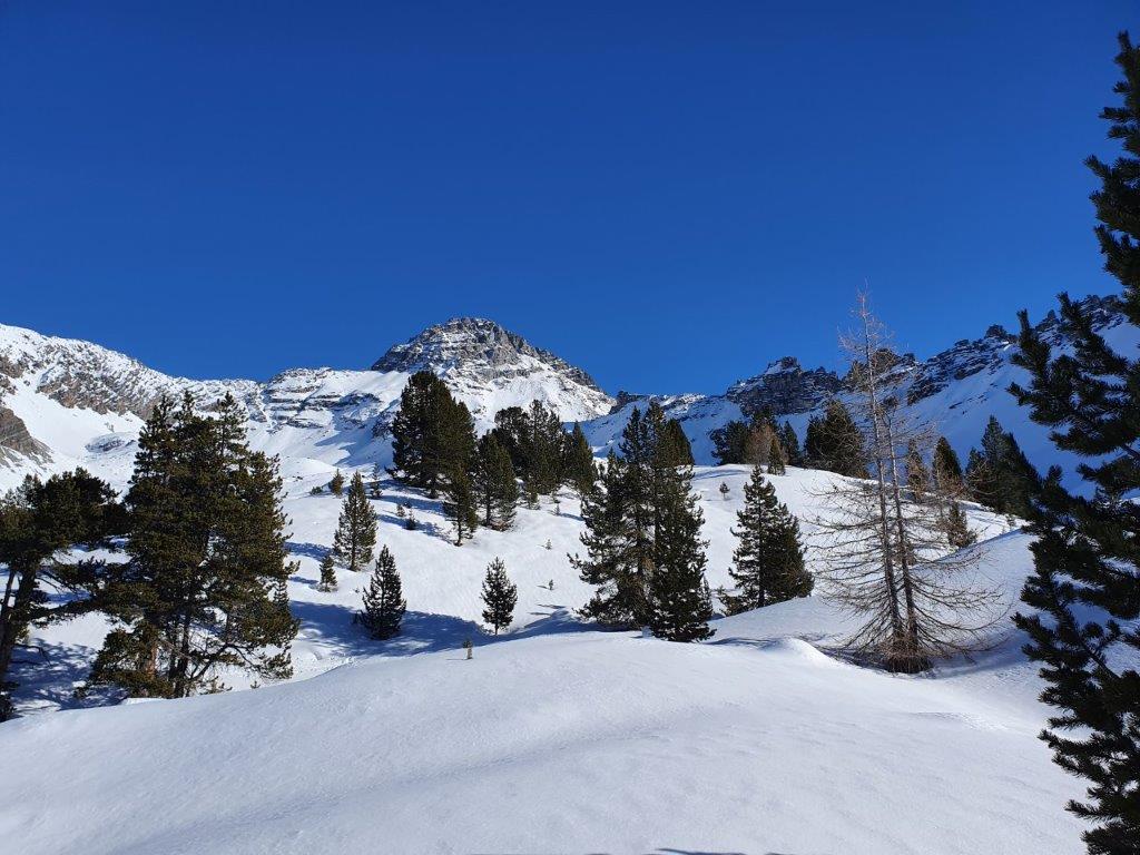 Week-end de fin d’année à raquette dans la Vallée d’Izoard -663584606a233: 

type: diap

0: /