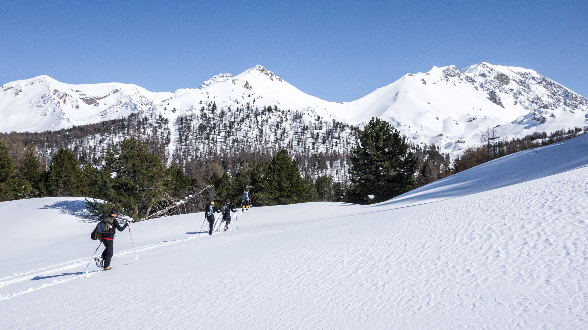 Raquettes sans frontières entre Briançonnais et Piémont -692a22f046e7e: 

type: diap

0: /