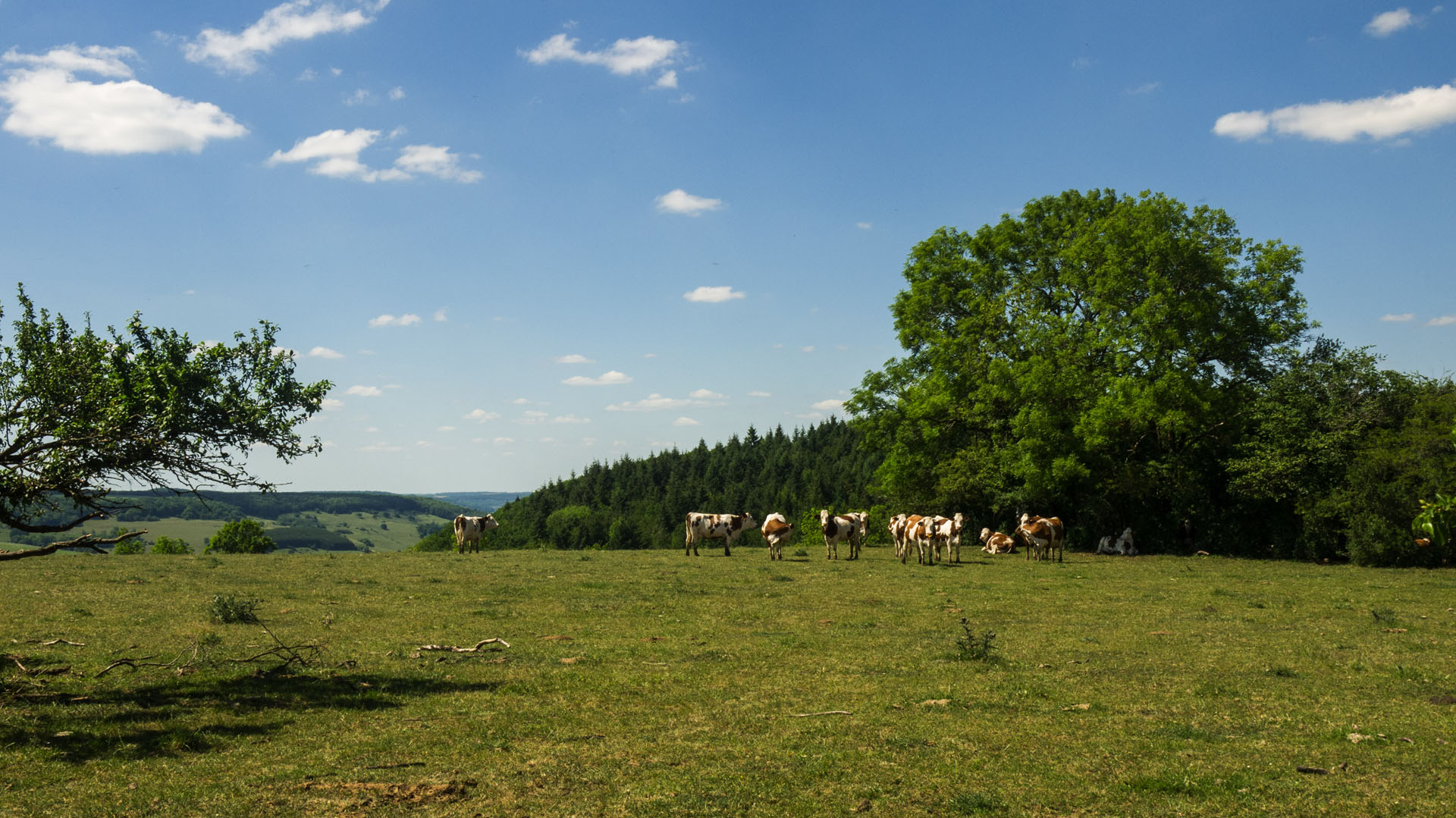 Randonnée sur les sentiers de la Bourgogne secrète -6846d1c7f14b6: /