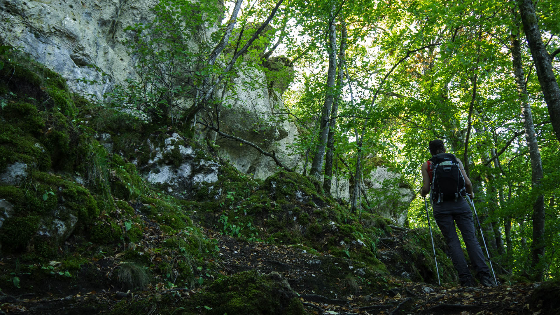 Randonnée sur les sentiers de la Bourgogne secrète -66347ea3451bb: /