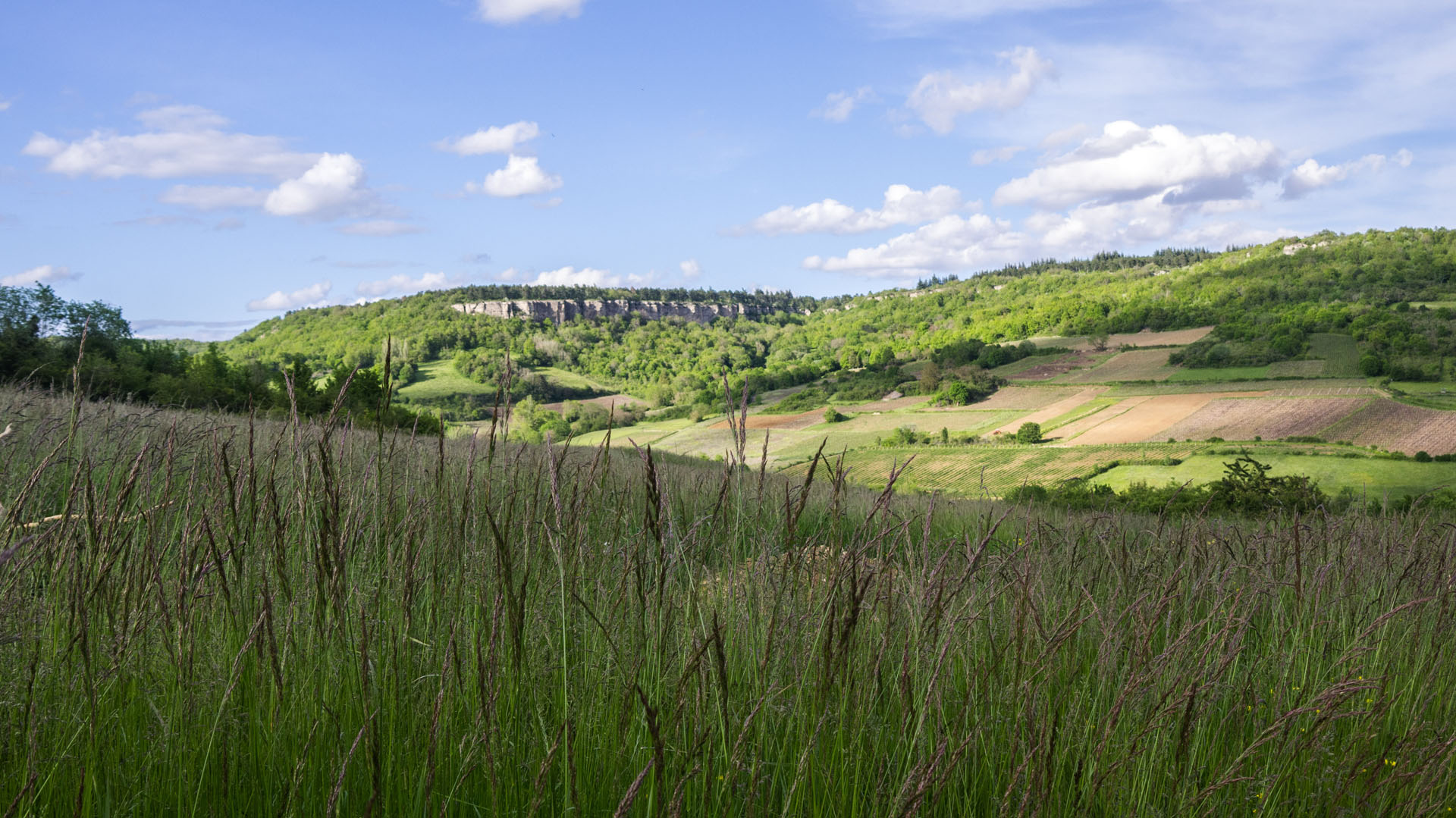 Randonnée en Côte d’Or : entre roche et vignoble -664740016d08b: /