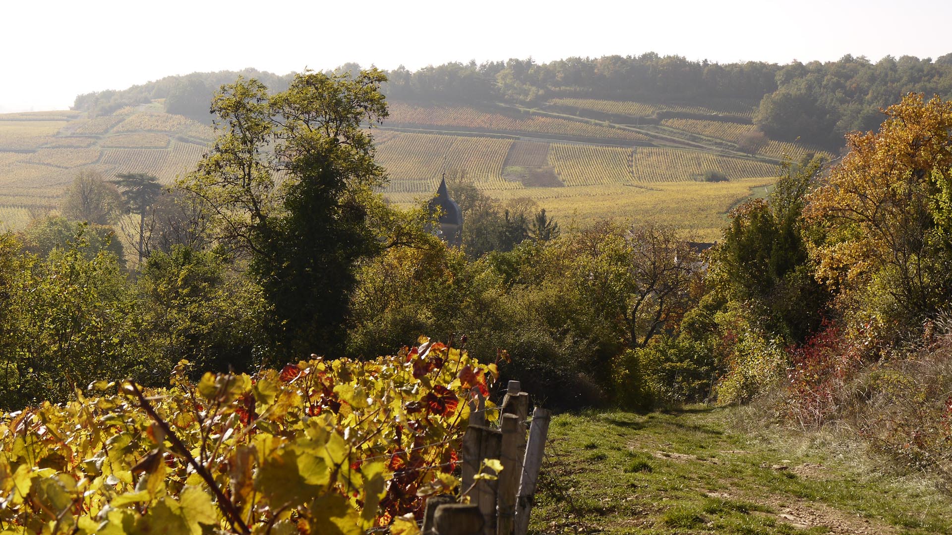 Randonnée en Côte d’Or : entre roche et vignoble -684f2fe5a8199: /