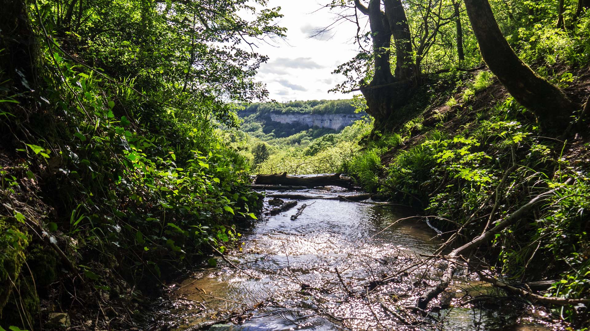 Randonnée en Côte d’Or : entre roche et vignoble -664740016d090: /