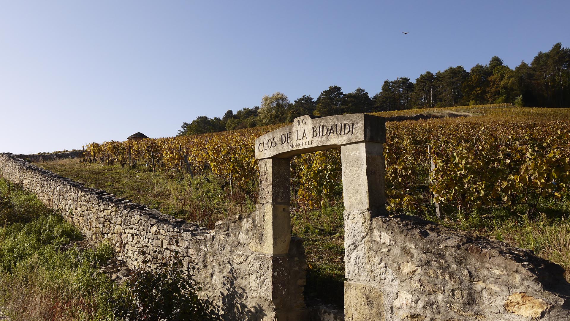 Randonnée en Côte d’Or : entre roche et vignoble -664713a9cfe7a: /