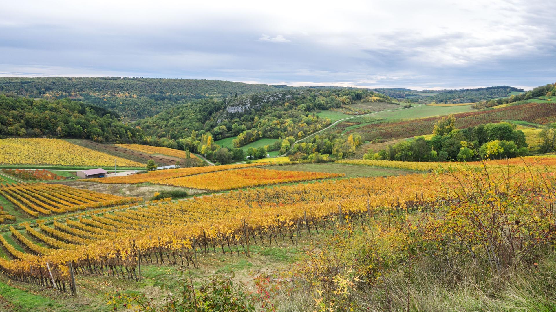 Randonnée en Côte d’Or : entre roche et vignoble -664740016d093: /