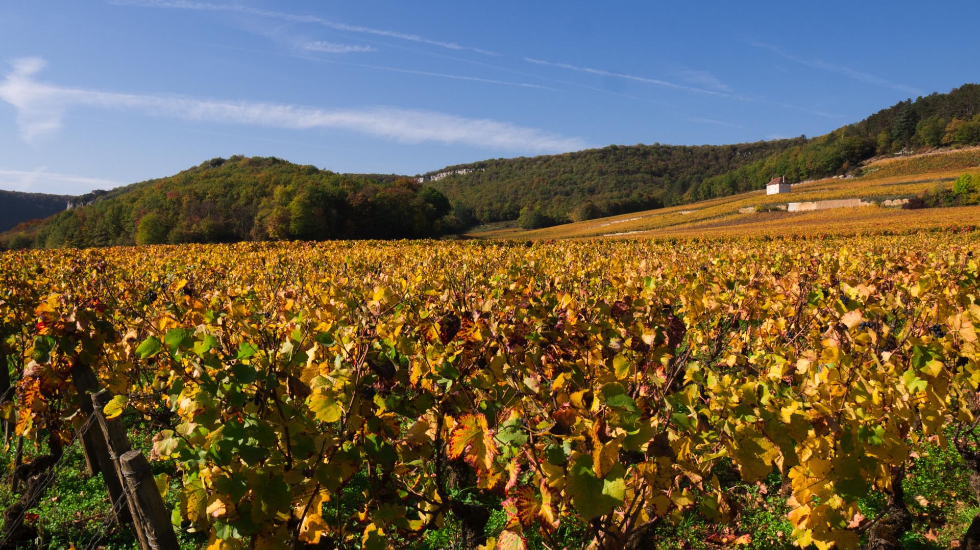 Randonnée en Côte d’Or : entre roche et vignoble -664713a9cfe7e: /