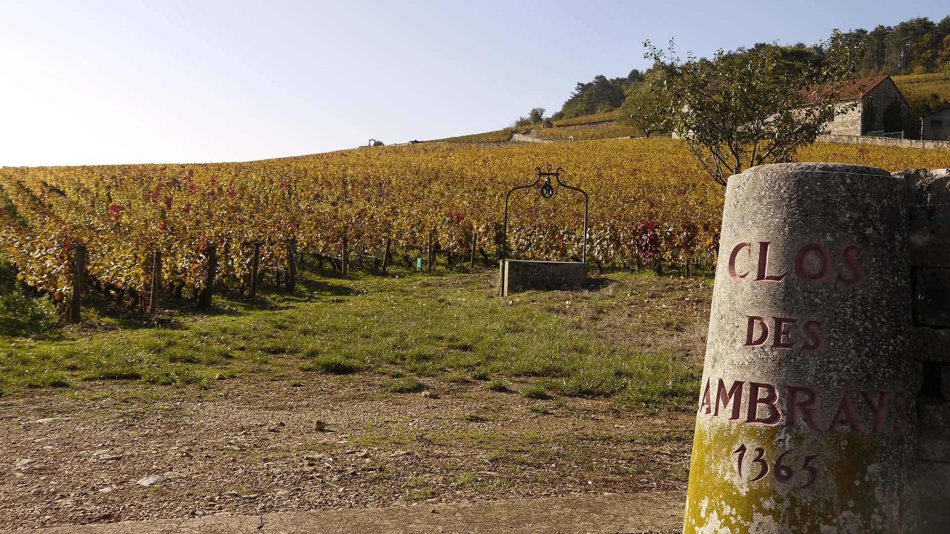 Randonnée en Côte d’Or : entre roche et vignoble -6633c01bc9bb8: /